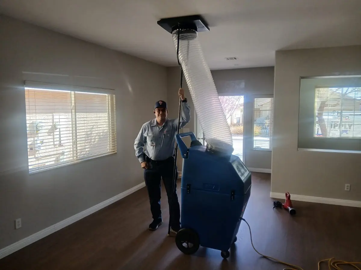 Professional Dryer Vent Cleaning work inside a Northlake home